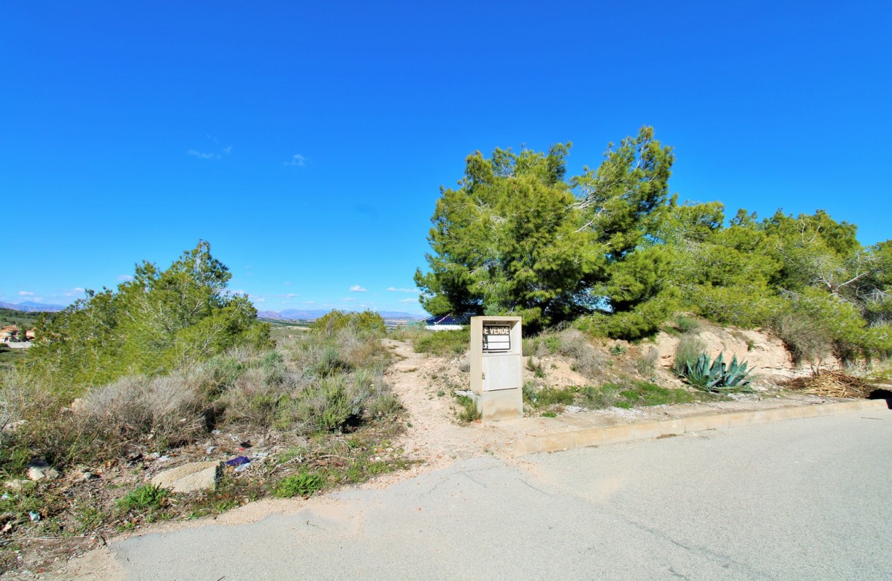 Segunda Mano - Parcela - San Miguel de Salinas