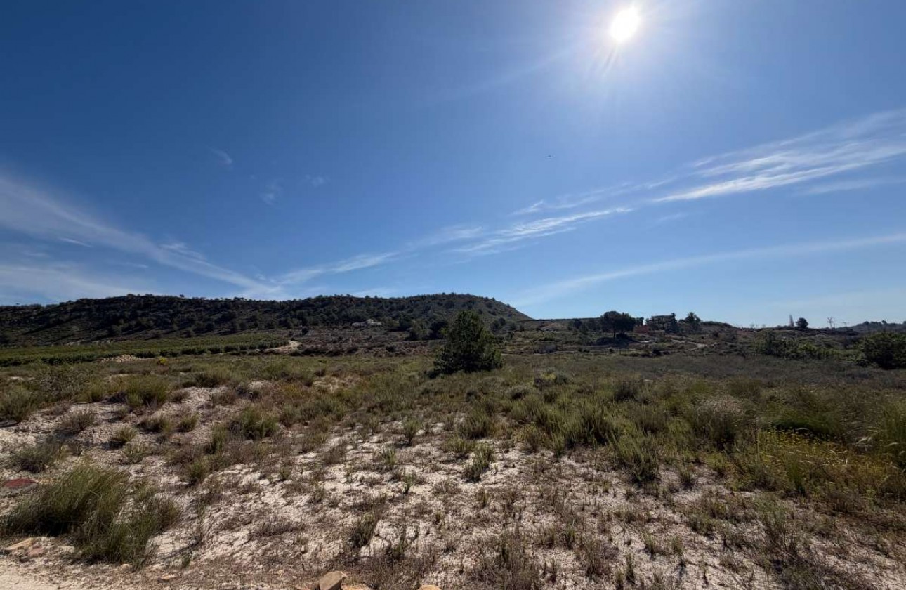 Segunda Mano - Parcela - Torremendo - Costa Blanca