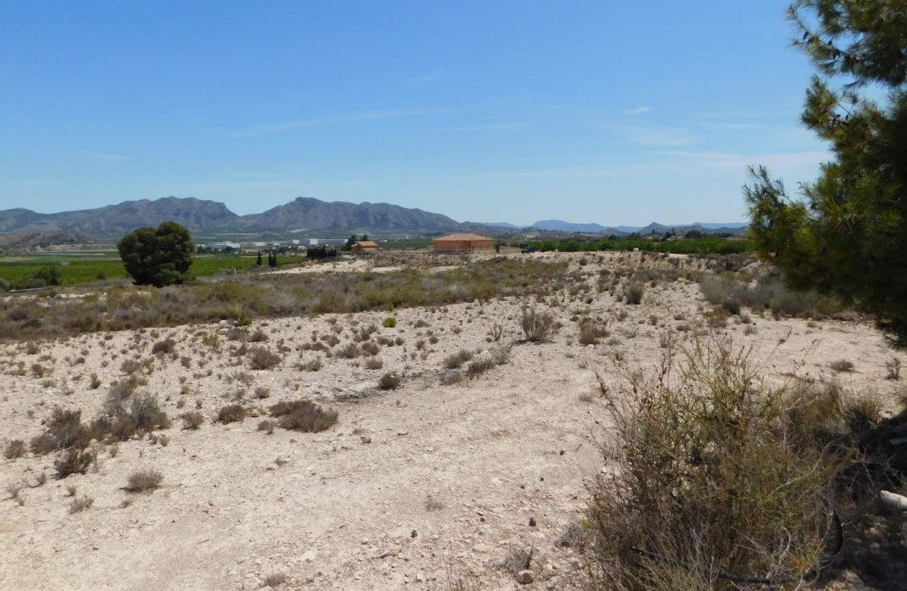 Segunda Mano - Plot / Land - Fortuna - FORTUNA (MURCIA)