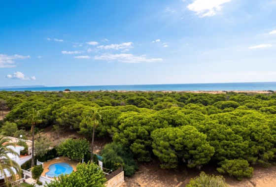 Studio - Revente - Guardamar del Segura - Lomas de Polo-Pinomar