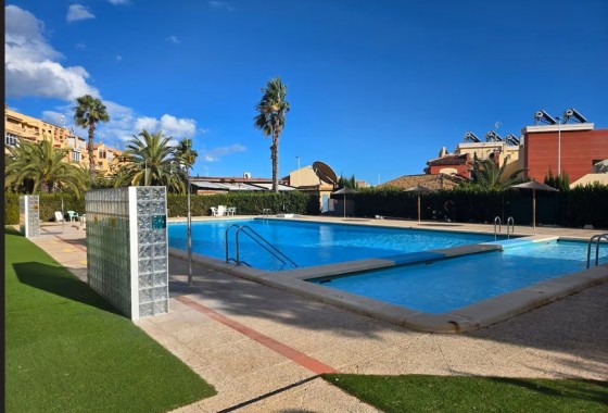 Studio - Revente - Torrevieja - Torrelamata - La Mata