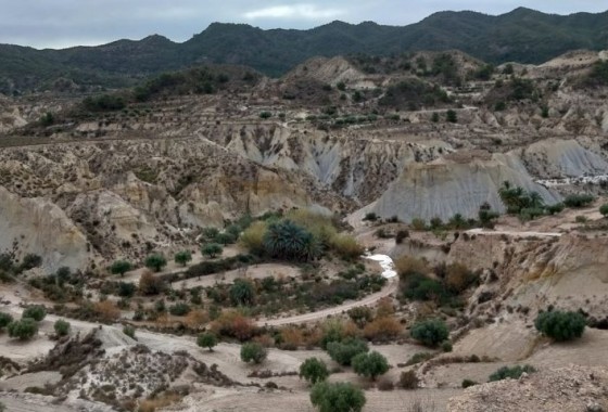 Terrain - Revente - Abanilla - Abanilla