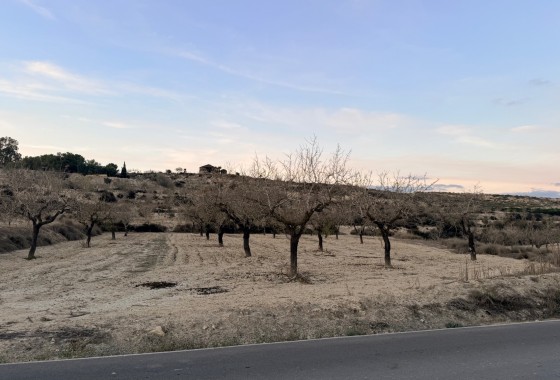 Terrain - Revente - Torremendo - Costa Blanca