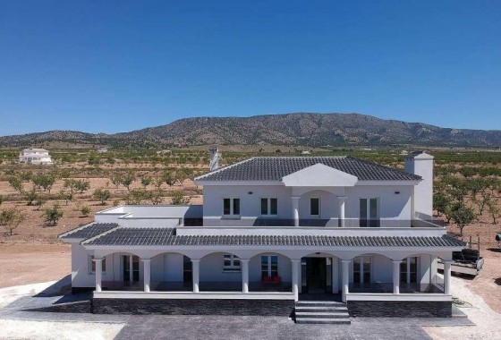 Villa - Nouvelle construction - Pinoso - 123N-75027