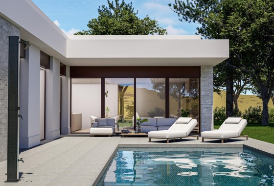 Villa - Nouvelle construction - Pinoso - Lel