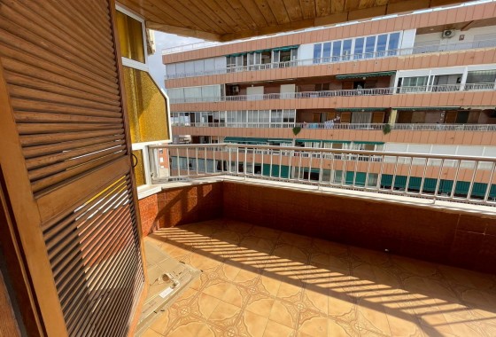 Segunda Mano - Apartamento - Torrevieja - Los balcones