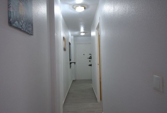 Segunda Mano - Apartamento - Torrevieja