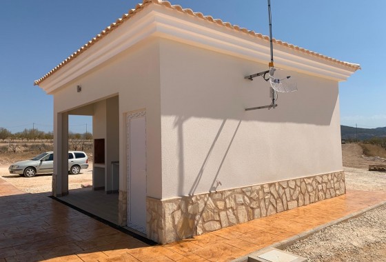 New Build - Detached Villa - Pinoso - Camino Del Prado