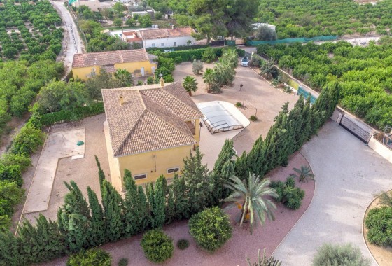 Resale - Detached Villa - Orihuela Costa - Molins