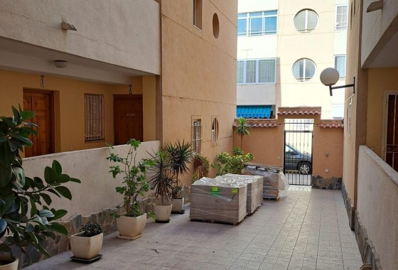 Segunda Mano - Apartamento - Torrevieja - San Luis