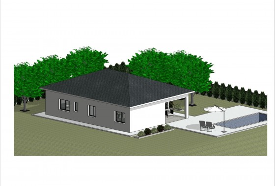 New Build - Detached Villa - Pinoso - Lel