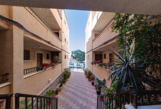 Revente - Appartement - Torrevieja - Torretas