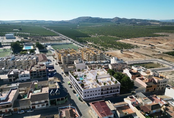 Nouvelle construction - Penthouse - Algorfa - Pueblo