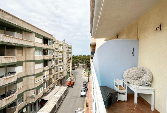 Resale - Apartment - Guardamar del Segura - CENTRO