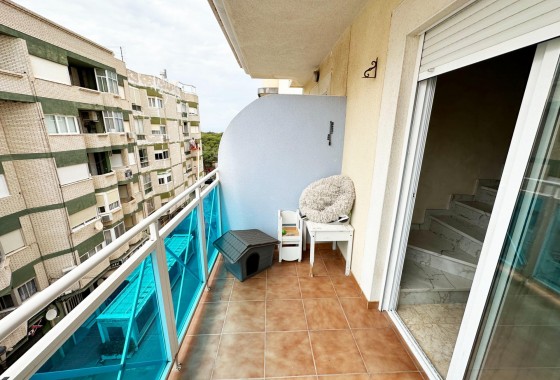 Resale - Apartment - Guardamar del Segura - CENTRO