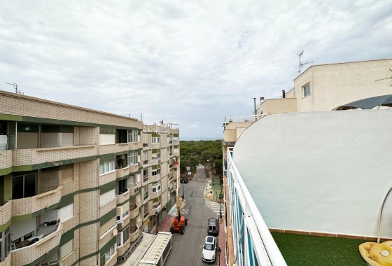 Revente - Appartement - Guardamar del Segura - CENTRO