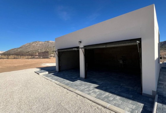 Obra nueva - Chalet - Jumilla - Torre del Rico