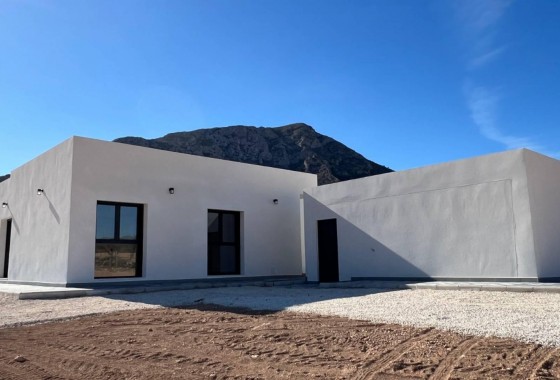 Obra nueva - Chalet - Jumilla - Torre del Rico