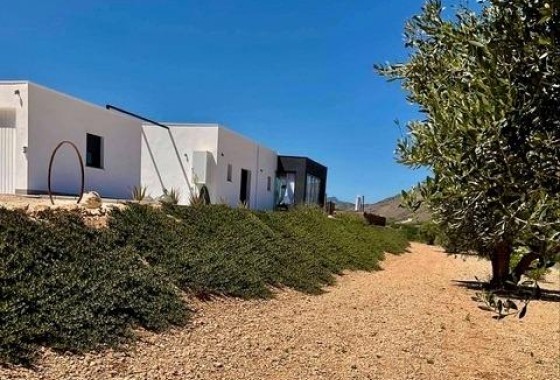 New Build - Detached Villa - Jumilla - Torre del Rico