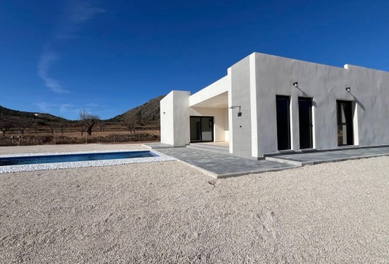 Obra nueva - Chalet - Jumilla - Torre del Rico