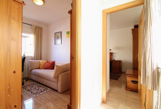 Resale - Apartment - Torrevieja - Acequion