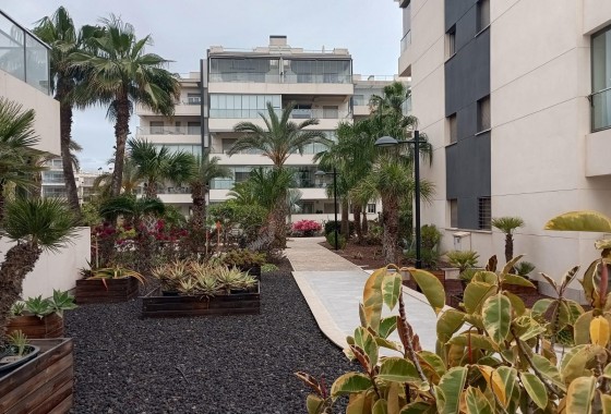 Resale - Apartment - Orihuela Costa - La Zenia