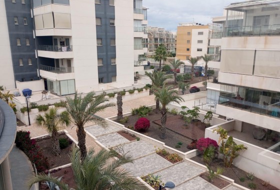 Segunda Mano - Apartamento - Orihuela Costa - La Zenia