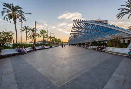 Segunda Mano - Apartamento - Torrevieja - Estacion de autobuses