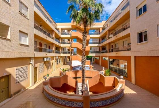 Segunda Mano - Apartamento - Orihuela Costa - Playa Flamenca