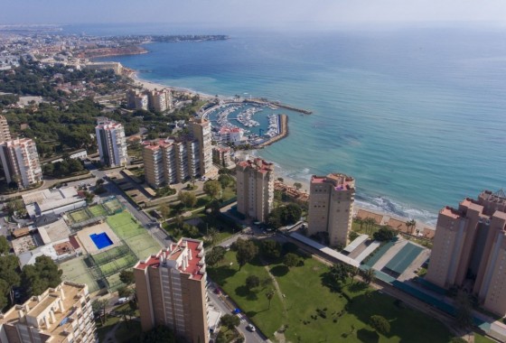 Obra nueva - Apartamento - Orihuela Costa - Campoamor