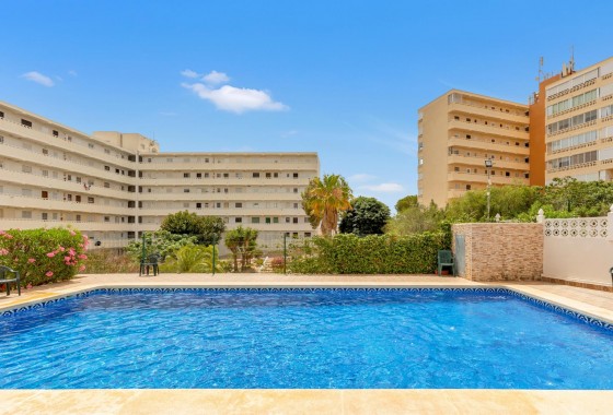 Resale - Penthouse - Torrevieja - Torre la mata