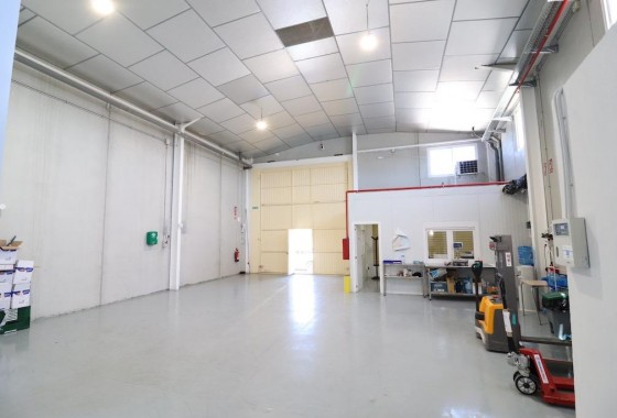 Revente - Industrial unit - Los Montesinos - Centro