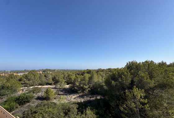 Resale - Detached Villa - San Miguel de Salinas