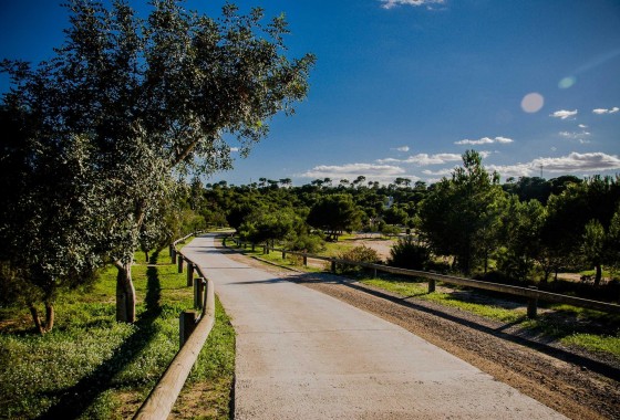 Obra nueva - Chalet - Ciudad Quesada/Rojales - Ciudad Quesada