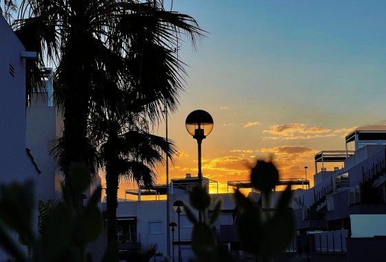 Revente - Bungalow - Torrevieja - Aguas Nuevas