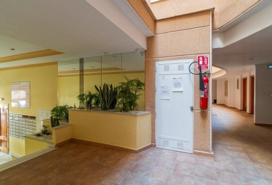 Revente - Appartement - Torrevieja - Estacion de autobuses