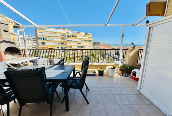 Segunda Mano - Apartamento - Torrevieja - Costa Blanca