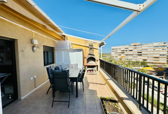 Revente - Appartement - Torrevieja - Costa Blanca