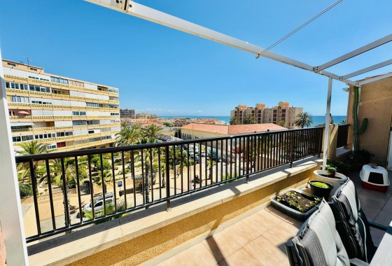 Segunda Mano - Apartamento - Torrevieja - Costa Blanca