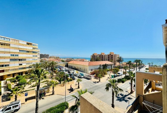 Segunda Mano - Apartamento - Torrevieja - Costa Blanca