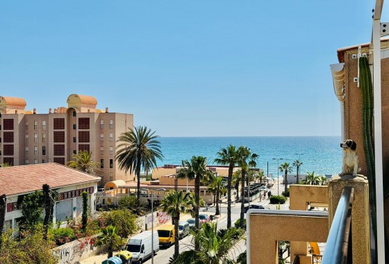 Resale - Apartment - Torrevieja - Costa Blanca