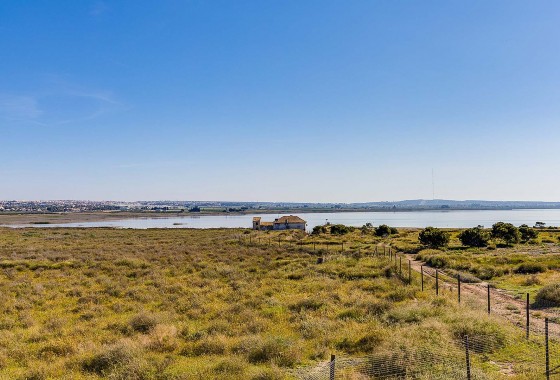 Segunda Mano - Chalet - Torrevieja - Costa Blanca