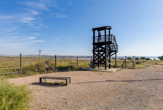 Segunda Mano - Chalet - Torrevieja - Costa Blanca