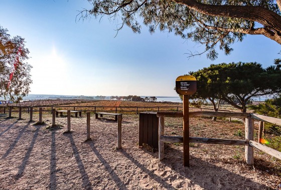 Segunda Mano - Chalet - Torrevieja - Costa Blanca