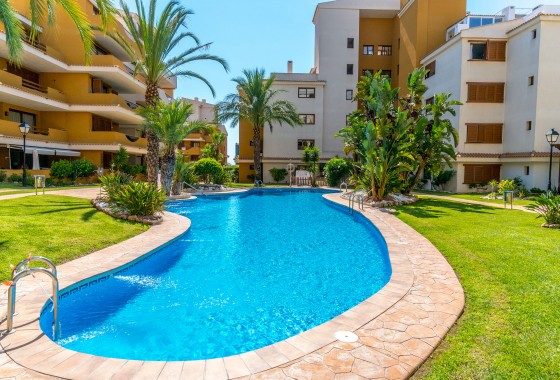 Segunda Mano - Apartamento - Punta Prima - Costa Blanca