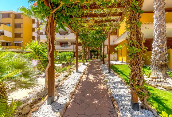 Resale - Apartment - Punta Prima - Costa Blanca