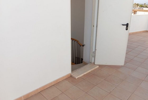 Nouvelle construction - Appartement - Catral - Campo de futbol