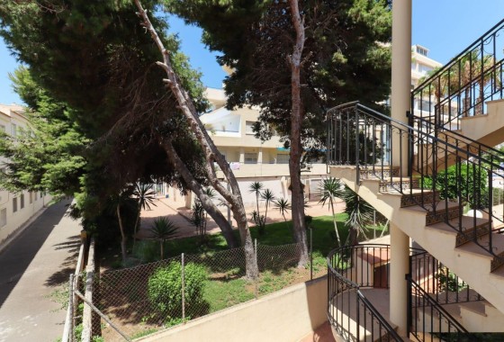 Resale - Apartment - Torrevieja - La Mata