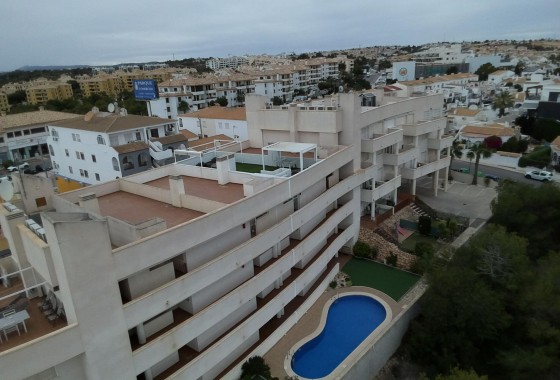 Obra nueva - Apartamento - Orihuela Costa - PAU 8