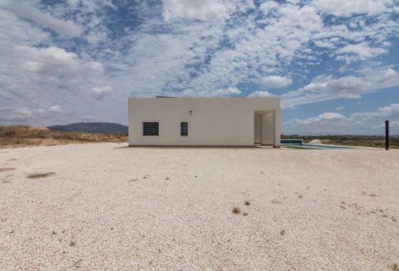 Obra nueva - Chalet - Pinoso - Campo